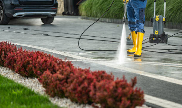 Best Solar Panel Cleaning  in Thornton, IL